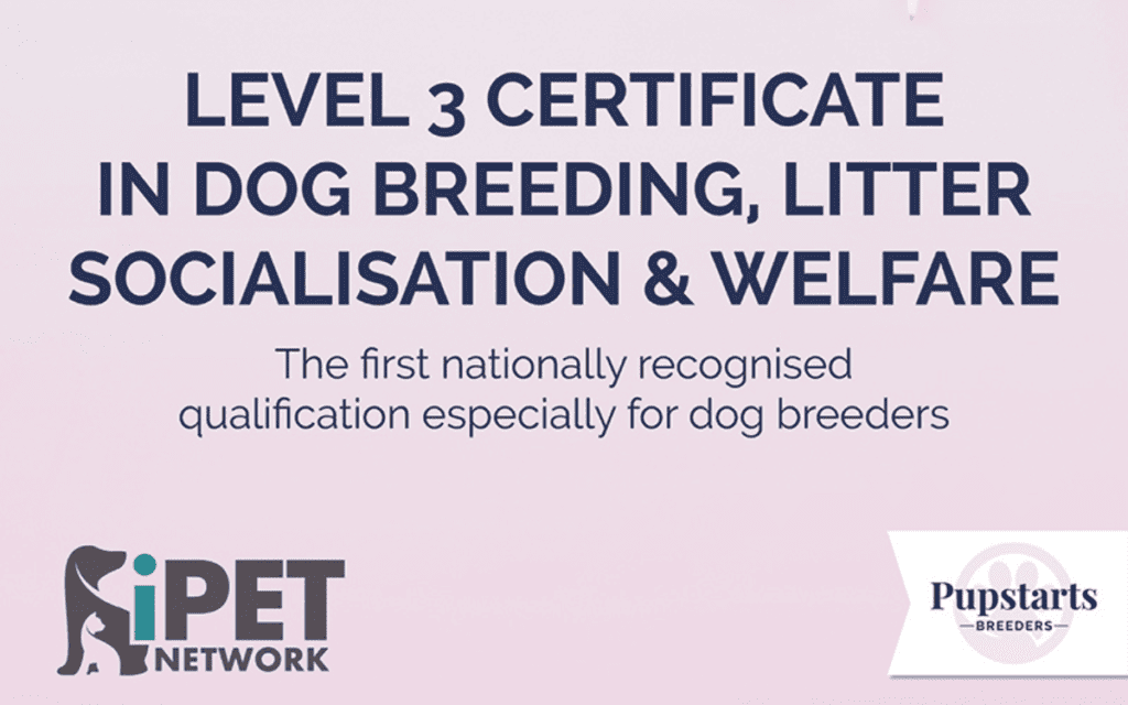 image with caption 'level 3 certificate in dog breeding, litter socialisation & welfare. The first nationally recognised qualification especially for dog breeders. Navy blue text on pink background