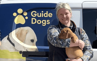 How a perfectly planned litter delivered surprise guide dogs